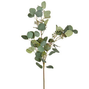 Greenery - Eucalyptus 31" stem
