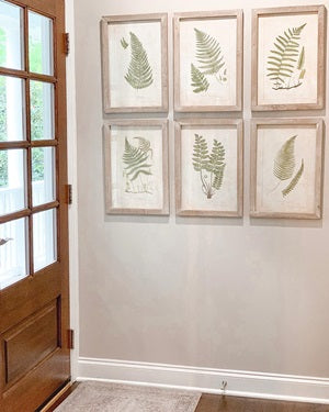 Framed Wall Decor with Ferns